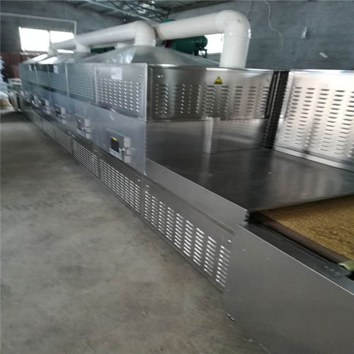 立威 休閑食品殺菌設(shè)備 袋裝食品滅菌機 30kw圖片 高清大圖 谷瀑環(huán)保